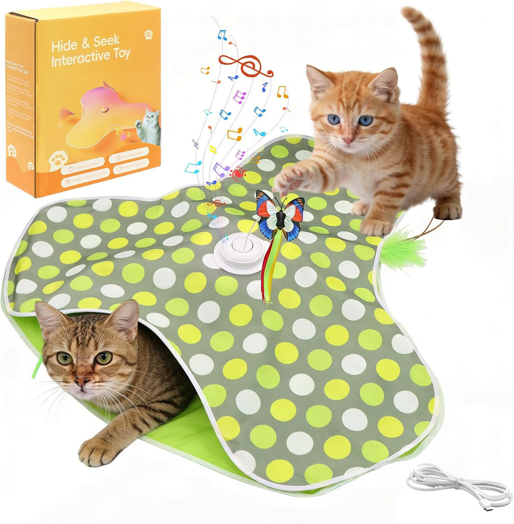 3-in-1 interactive cat toy packaging box and accessories set