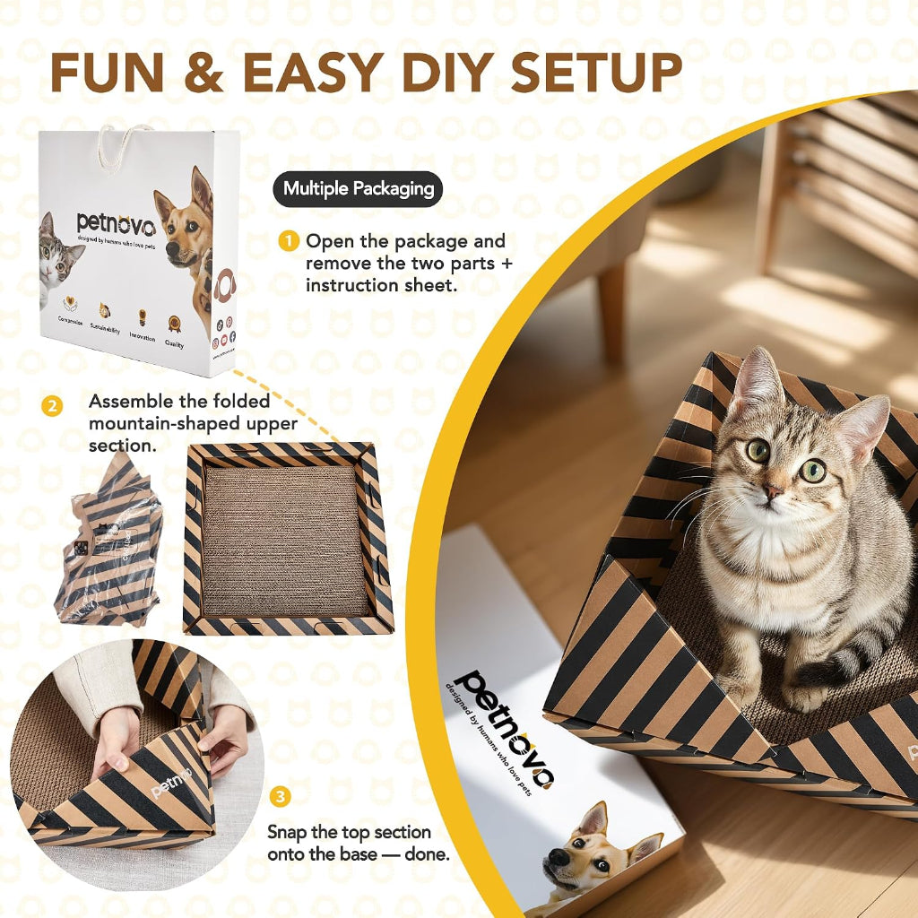 DIY cat playpen setup guide showing the Petnoyo brand packaging, step-by-step assembly instructions, and a live tabby cat sitting inside the assembled striped playpen on a wooden floor.