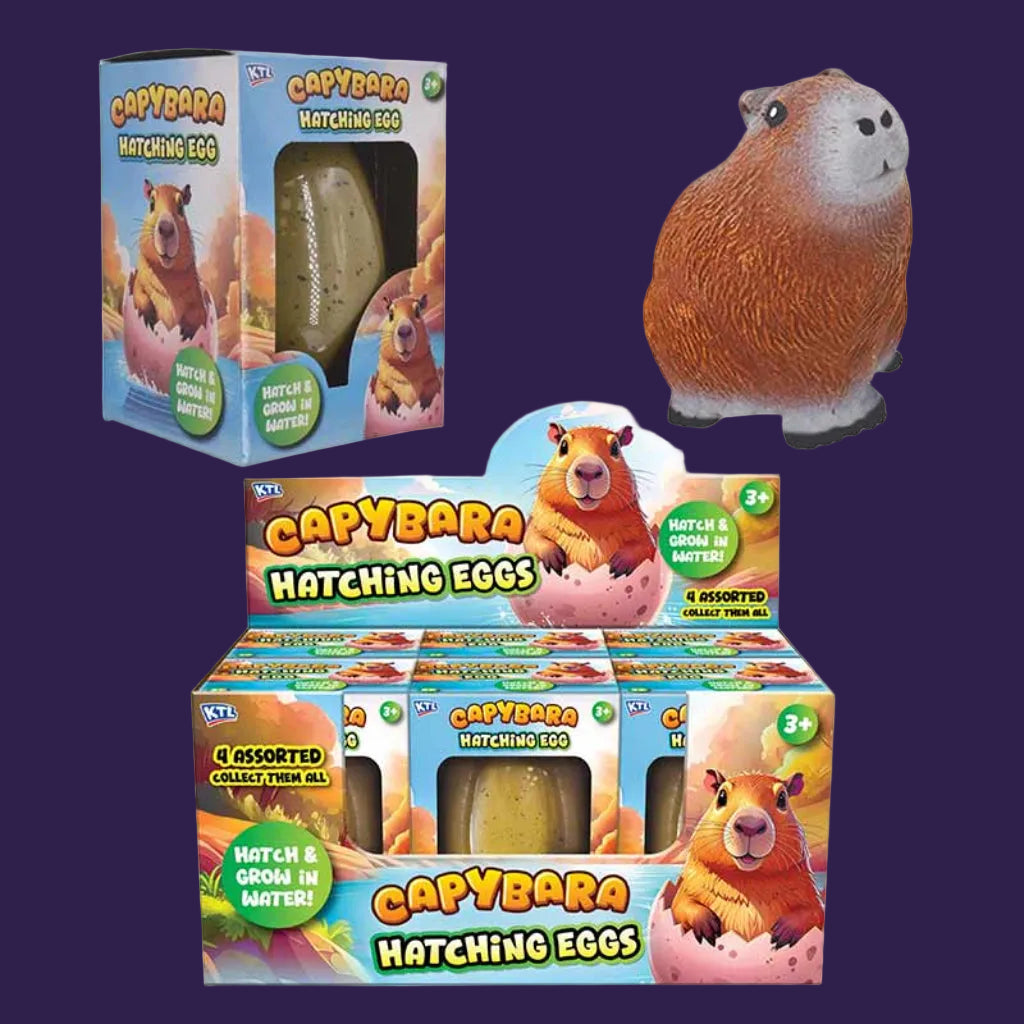 Capybara Hatching Egg Display Box