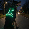 Neon green glowing LED Dog Harness on a dog walking at night