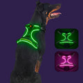 LED Dog Harness