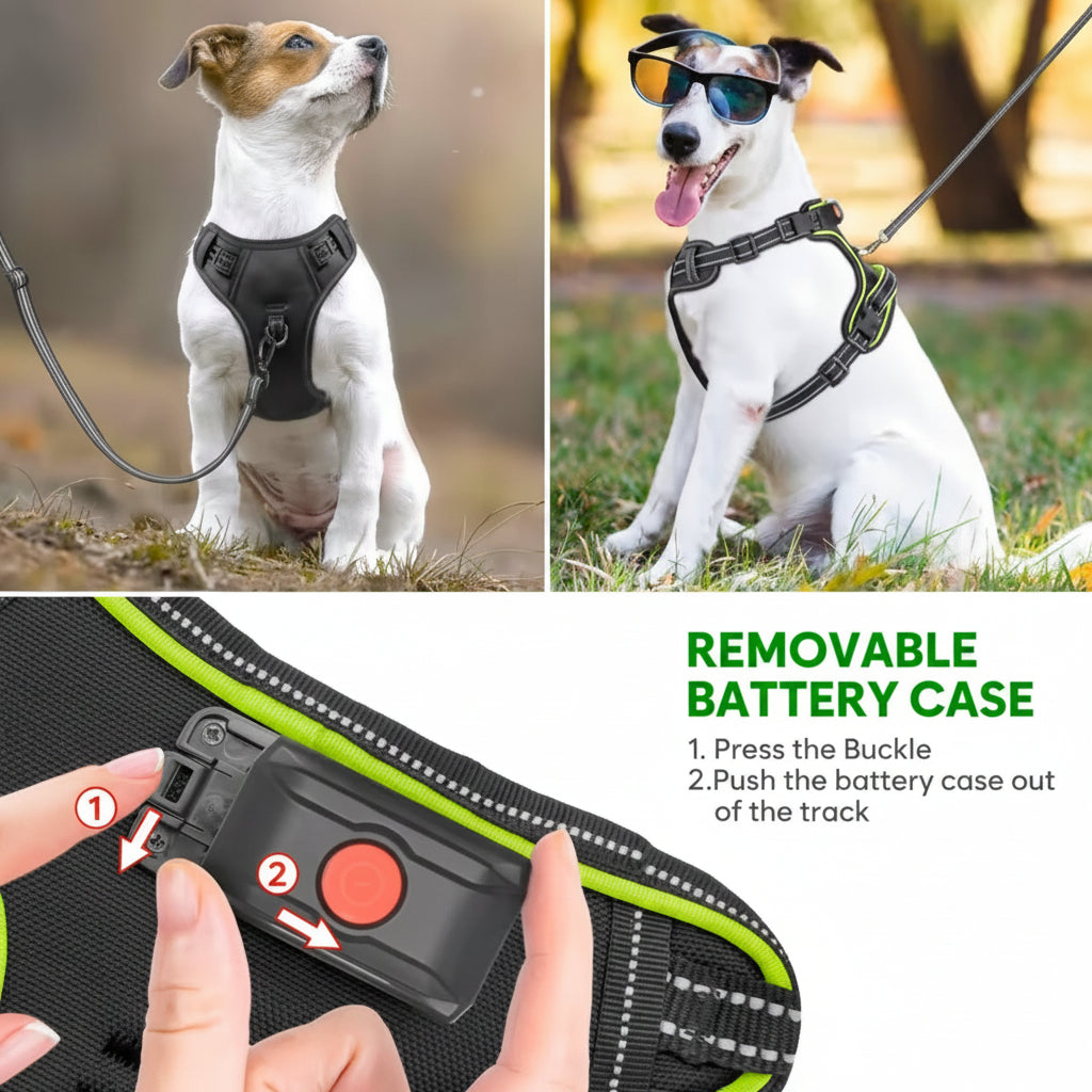 Waterproof LED dog harness with a removable battery pack