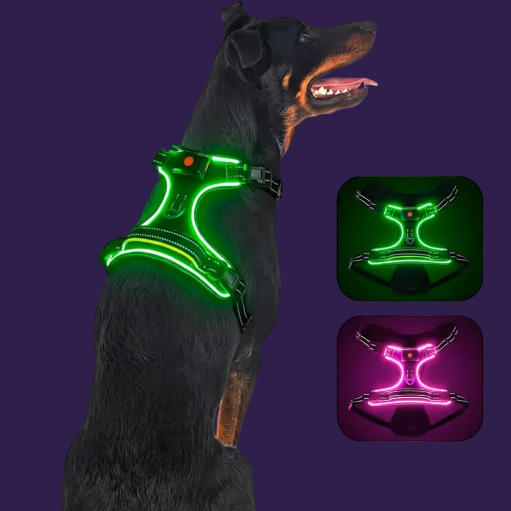 Tactical LED dog harness with vibrant green and magenta glow options
