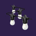 Festoon Lights 20m