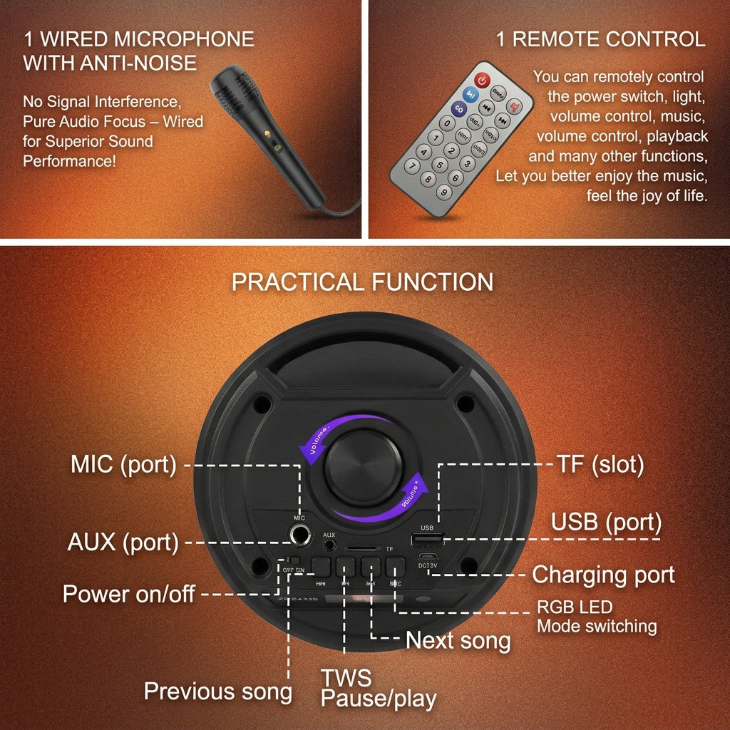ZQS4239 Party Speaker Audio Inputs and Accessories Diagram