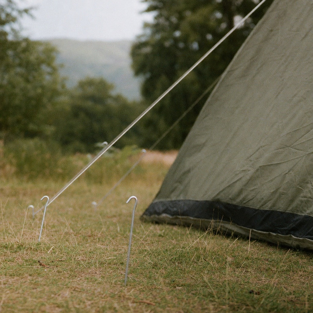Heavy Duty Galvanised Steel Tent Peg securing guide line in grassy ground