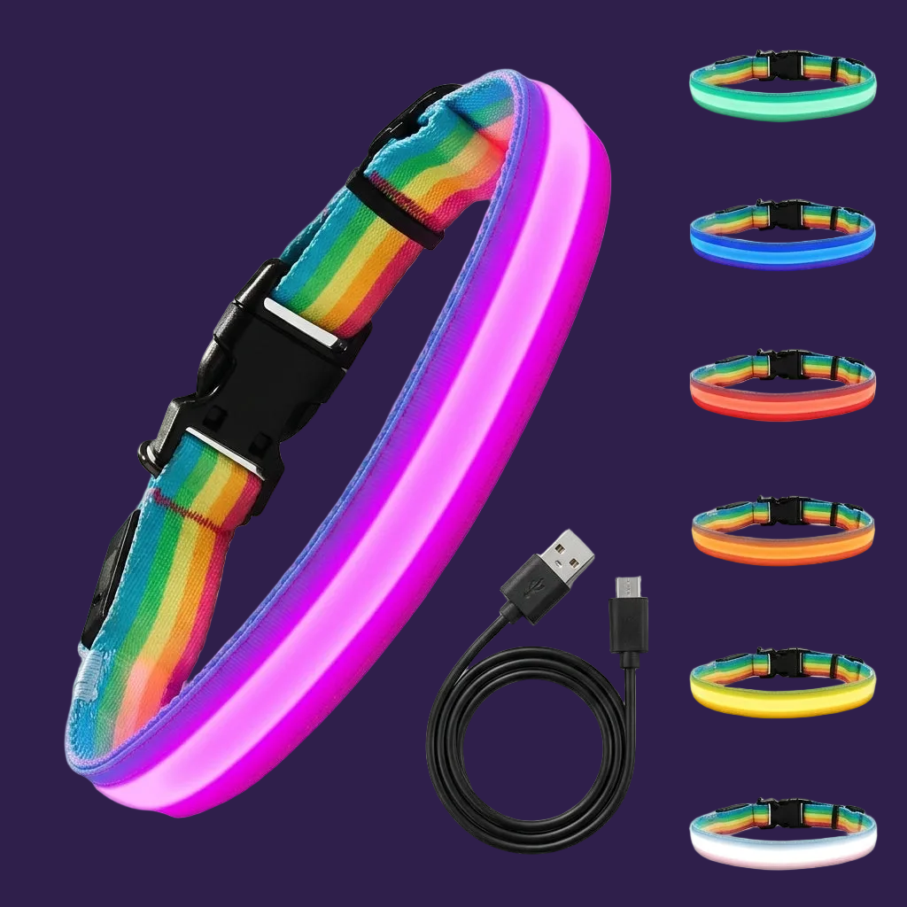LED Dog Collar for Night Walking - USB Cable & Product Set